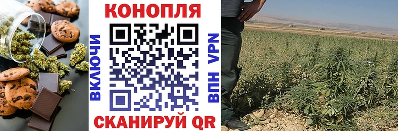 kraken маркетплейс  где можно купить   Кизилюрт  Cannafood конопля 