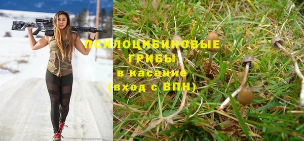 героин Алзамай