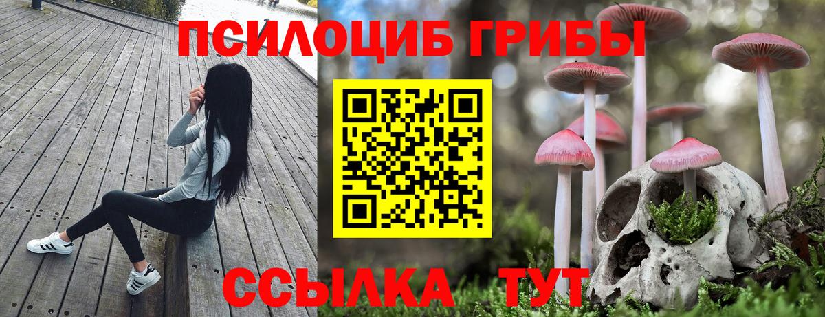 Галлюциногенные грибы мицелий Кизилюрт