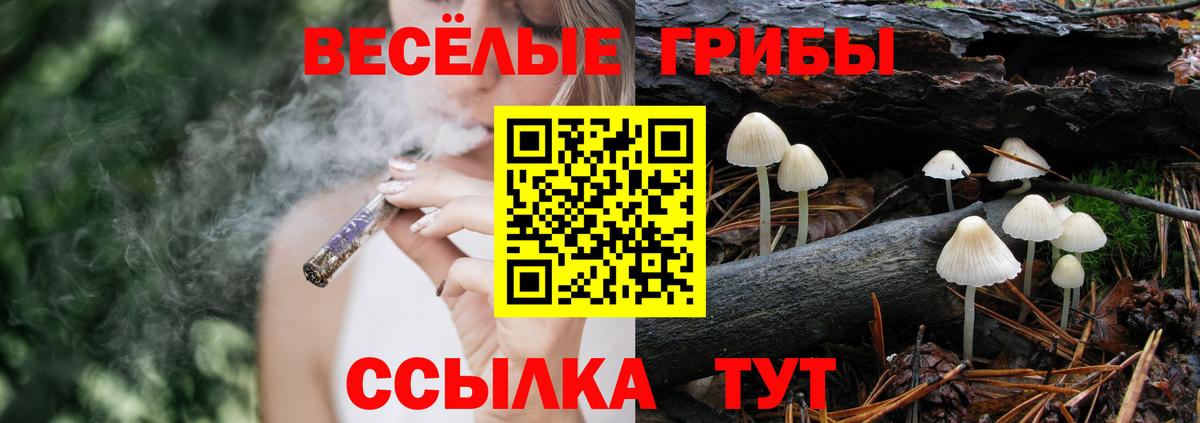 Псилоцибиновые грибы Magic Shrooms  Вход с VPN  Кизилюрт 
