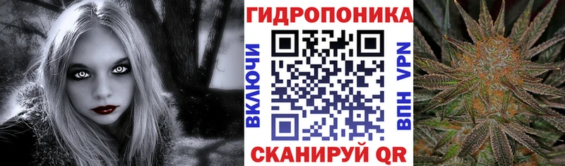 Шишки марихуана тримм сайты даркнета Telegram Кизилюрт что такое